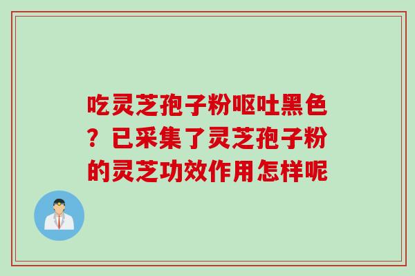 吃灵芝孢子粉黑色?已采集了灵芝孢子粉的灵芝功效作用怎样呢 吃灵芝孢子粉黑色?已采集了灵芝孢子粉的灵芝功效作用怎样呢