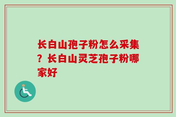 长白山孢子粉怎么采集？长白山灵芝孢子粉哪家好