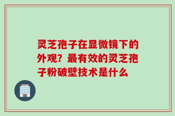 灵芝孢子在显微镜下的外观？最有效的灵芝孢子粉破壁技术是什么