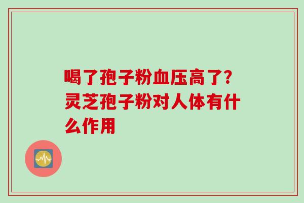 喝了孢子粉血压高了？灵芝孢子粉对人体有什么作用