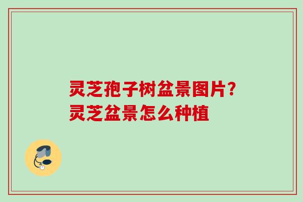 灵芝孢子树盆景图片？灵芝盆景怎么种植