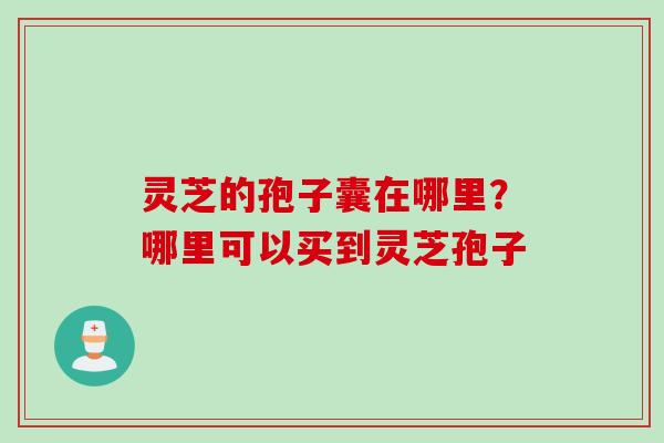 灵芝的孢子囊在哪里？哪里可以买到灵芝孢子