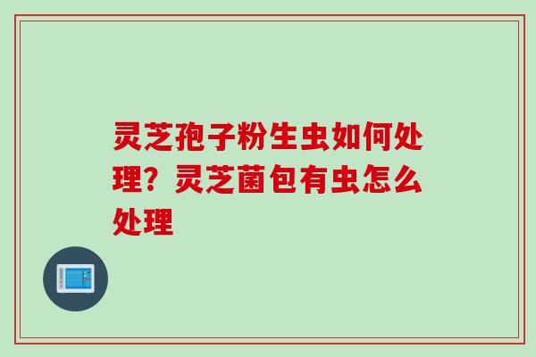 灵芝孢子粉生虫如何处理？灵芝菌包有虫怎么处理