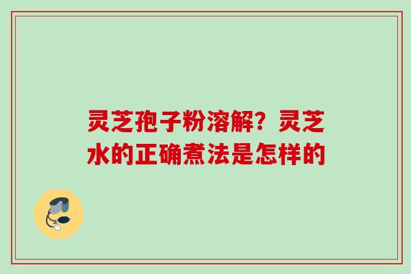 灵芝孢子粉溶解？灵芝水的正确煮法是怎样的