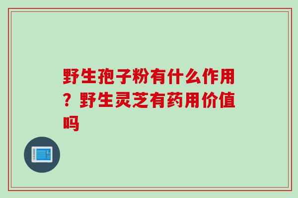 野生孢子粉有什么作用？野生灵芝有药用价值吗