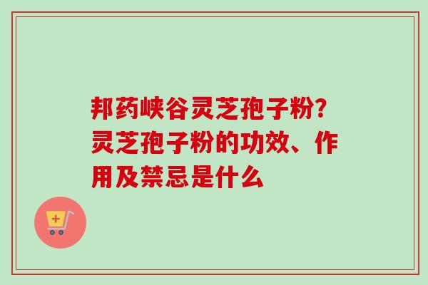 邦药峡谷灵芝孢子粉？灵芝孢子粉的功效、作用及禁忌是什么