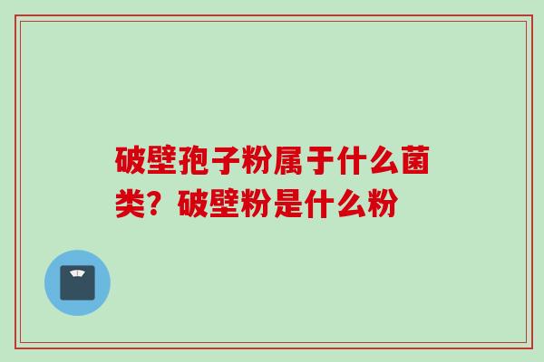 破壁孢子粉属于什么菌类？破壁粉是什么粉
