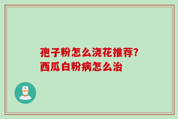 孢子粉怎么浇花推荐？西瓜白粉病怎么治