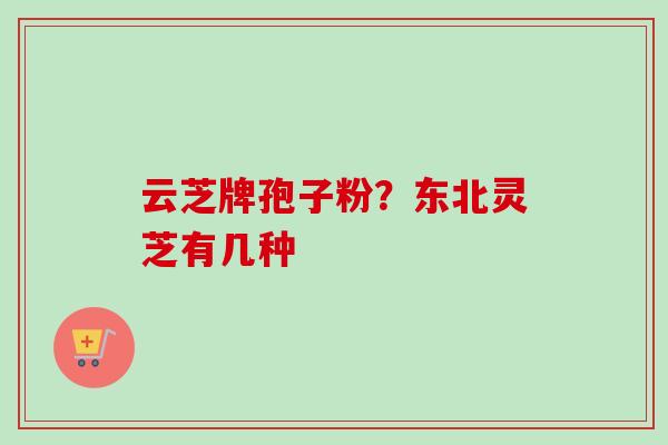 云芝牌孢子粉？东北灵芝有几种