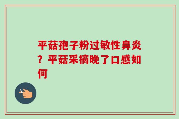 平菇孢子粉过敏性鼻炎？平菇采摘晚了口感如何
