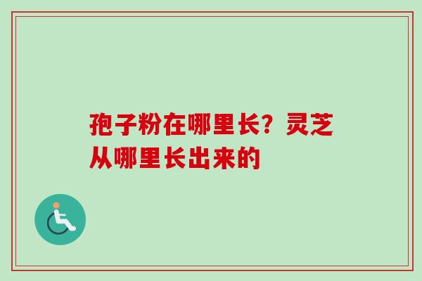 孢子粉在哪里长？灵芝从哪里长出来的