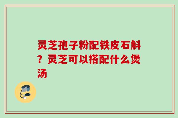 灵芝孢子粉配铁皮石斛？灵芝可以搭配什么煲汤
