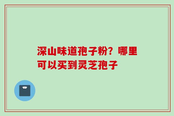 深山味道孢子粉？哪里可以买到灵芝孢子