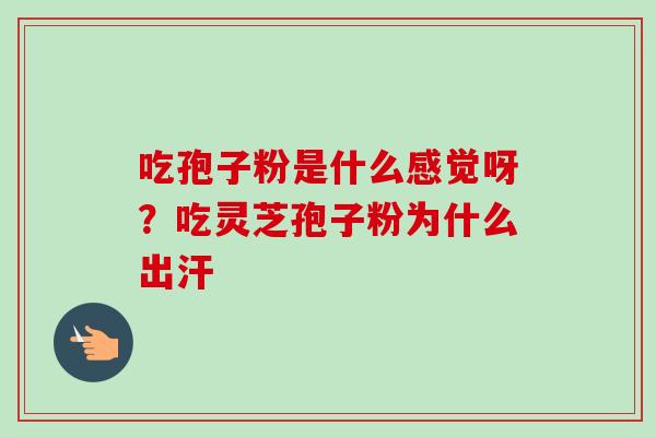 吃孢子粉是什么感觉呀？吃灵芝孢子粉为什么出汗