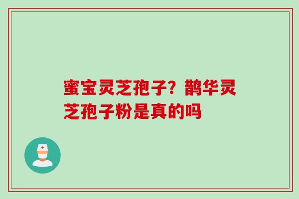 蜜宝灵芝孢子？鹊华灵芝孢子粉是真的吗