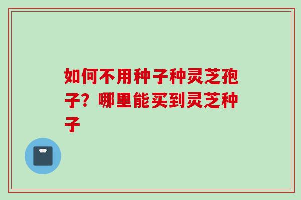 如何不用种子种灵芝孢子？哪里能买到灵芝种子