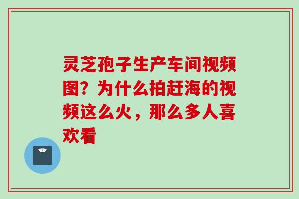 灵芝孢子生产车间视频图？为什么拍赶海的视频这么火，那么多人喜欢看
