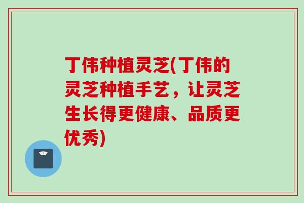 丁伟种植灵芝(丁伟的灵芝种植手艺,让灵芝生长得更健康、品质更优秀) 丁伟种植灵芝(丁伟的灵芝种植手艺,让灵芝生长得更健康、品质更优秀)