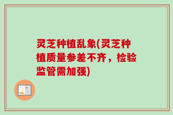 灵芝种植乱象(灵芝种植质量参差不齐，检验监管需加强)