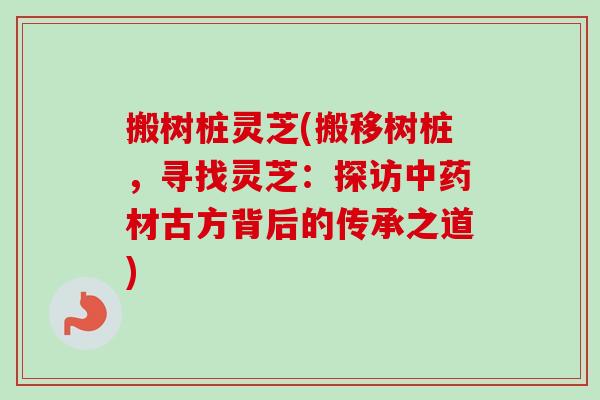 搬树桩灵芝(搬移树桩，寻找灵芝：探访中药材古方背后的传承之道)