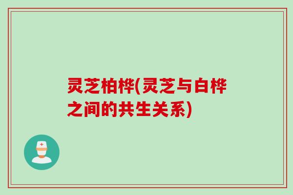 灵芝柏桦(灵芝与白桦之间的共生关系)