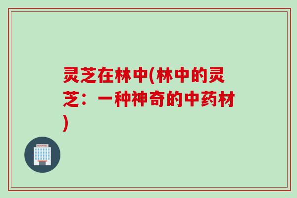 灵芝在林中(林中的灵芝:一种神奇的材) 灵芝在林中(林中的灵芝:一种神奇的材)