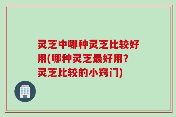 灵芝中哪种灵芝比较好用(哪种灵芝最好用？灵芝比较的小窍门)