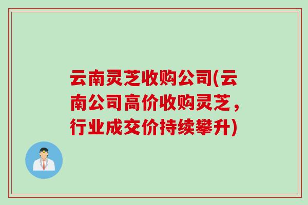 云南灵芝收购公司(云南公司高价收购灵芝，行业成交价持续攀升)