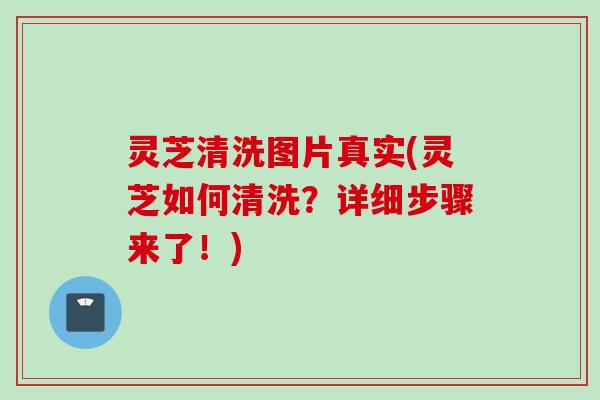 灵芝清洗图片真实(灵芝如何清洗？详细步骤来了！)