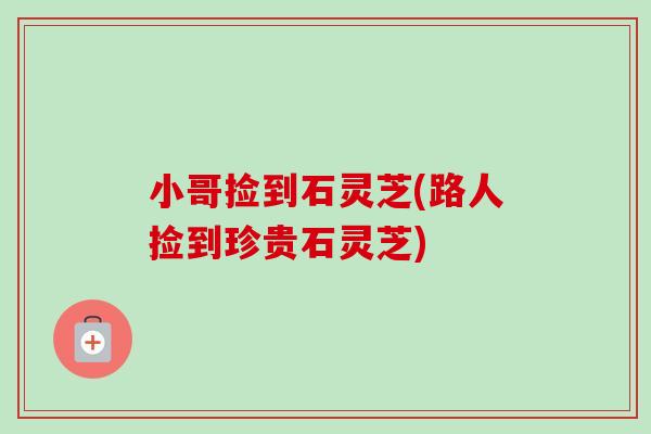 小哥捡到石灵芝(路人捡到珍贵石灵芝)