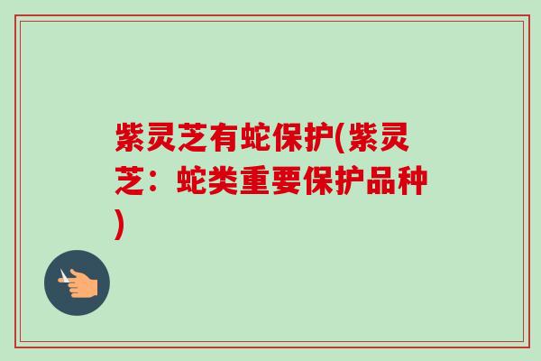 紫灵芝有蛇保护(紫灵芝：蛇类重要保护品种)