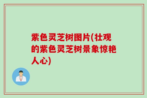 紫色灵芝树图片(壮观的紫色灵芝树景象惊艳人心)