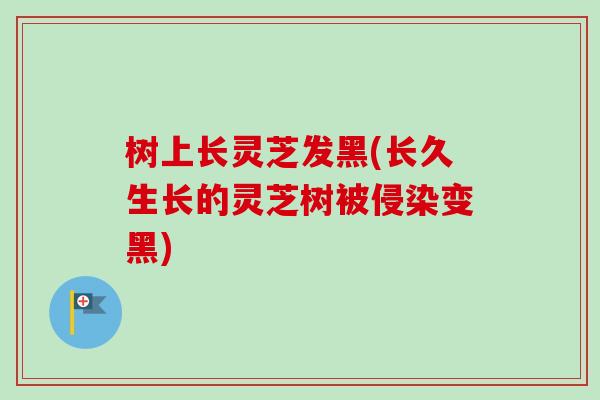 树上长灵芝发黑(长久生长的灵芝树被侵染变黑)
