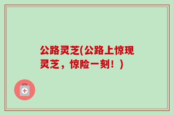 公路灵芝(公路上惊现灵芝，惊险一刻！)