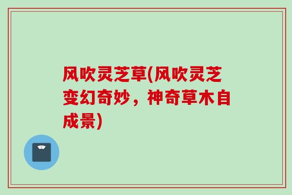 风吹灵芝草(风吹灵芝变幻奇妙,神奇草木自成景) 风吹灵芝草(风吹灵芝变幻奇妙,神奇草木自成景)