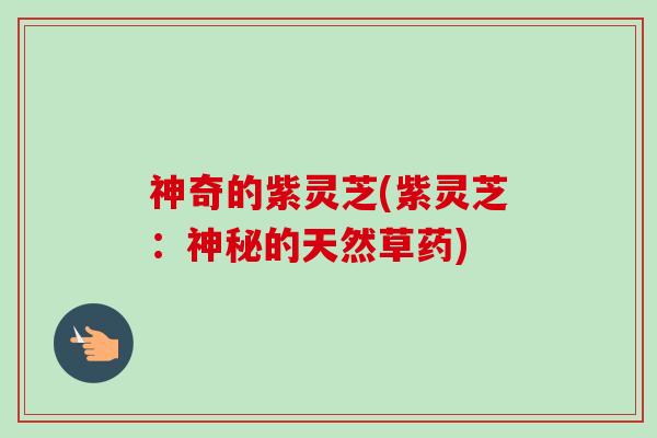 神奇的紫灵芝(紫灵芝：神秘的天然草药)