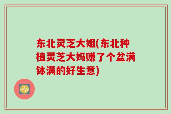 东北灵芝大姐(东北种植灵芝大妈赚了个盆满钵满的好生意)