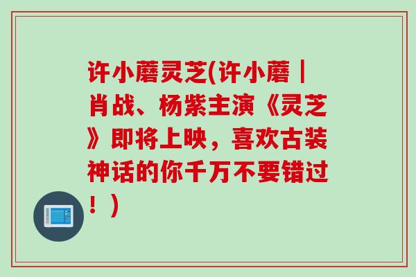 许小蘑灵芝(许小蘑｜肖战、杨紫主演《灵芝》即将上映，喜欢古装神话的你千万不要错过！)
