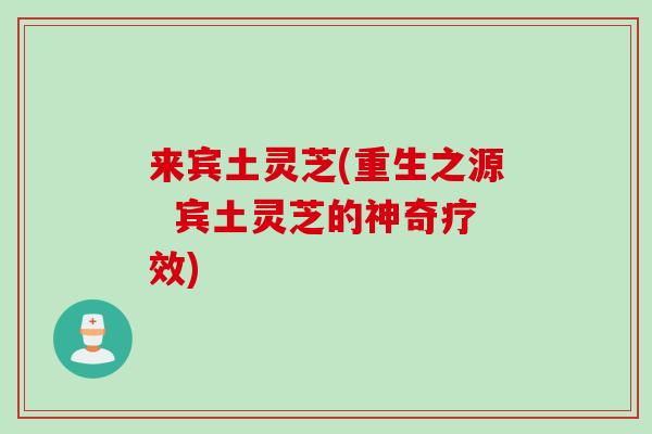 来宾土灵芝(重生之源 宾土灵芝的神奇疗效) 来宾土灵芝(重生之源 宾土灵芝的神奇疗效)