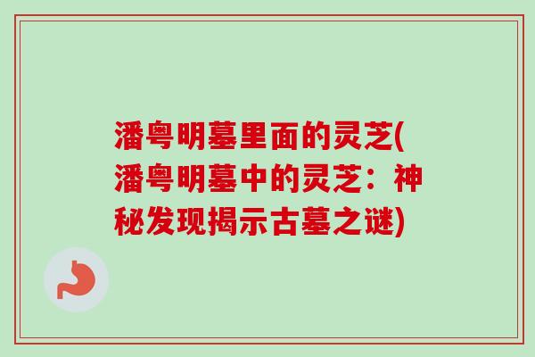潘粤明墓里面的灵芝(潘粤明墓中的灵芝：神秘发现揭示古墓之谜)
