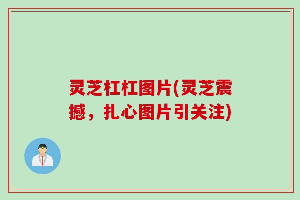 灵芝杠杠图片(灵芝震撼，扎心图片引关注)