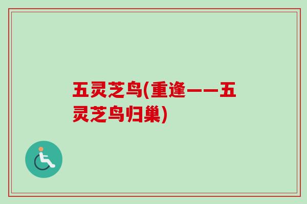 五灵芝鸟(重逢——五灵芝鸟归巢)