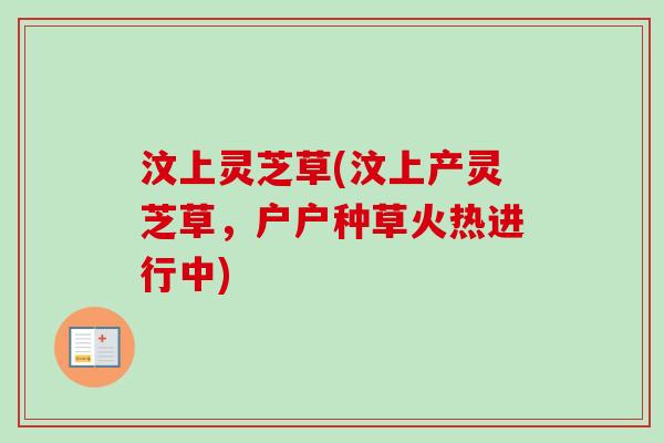 汶上灵芝草(汶上产灵芝草，户户种草火热进行中)