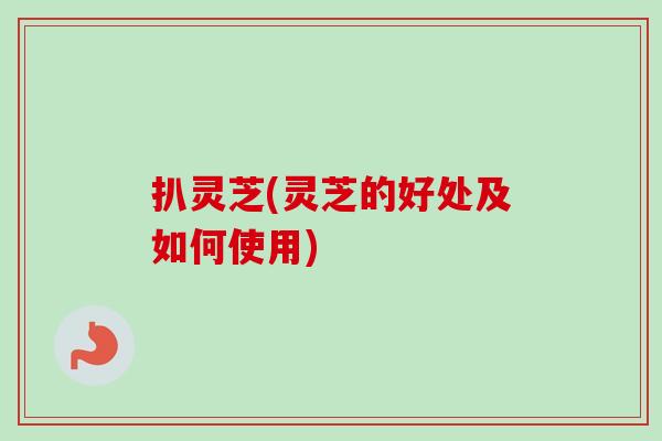 扒灵芝(灵芝的好处及如何使用)