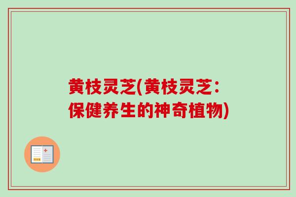 黄枝灵芝(黄枝灵芝：保健养生的神奇植物)