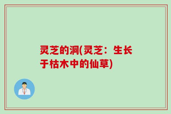 灵芝的洞(灵芝：生长于枯木中的仙草)