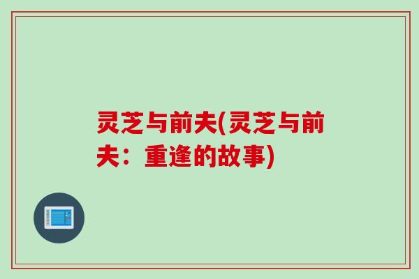 灵芝与前夫(灵芝与前夫：重逢的故事)