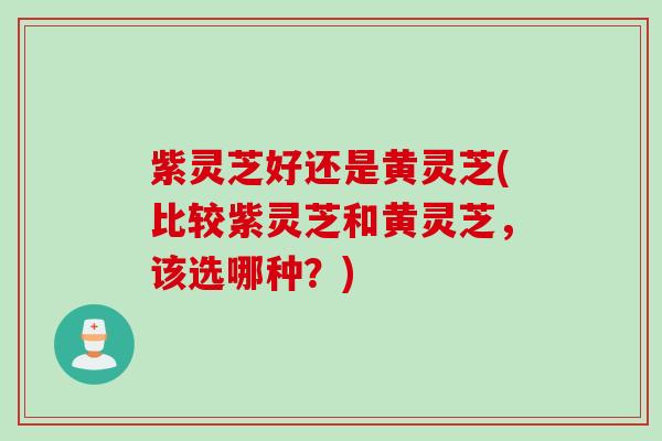 紫灵芝好还是黄灵芝(比较紫灵芝和黄灵芝,该选哪种?) 紫灵芝好还是黄灵芝(比较紫灵芝和黄灵芝,该选哪种?)