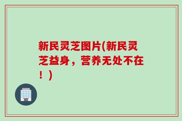 新民灵芝图片(新民灵芝益身，营养无处不在！)