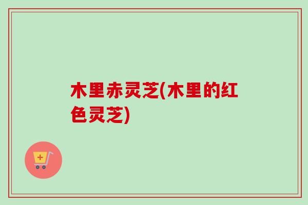木里赤灵芝(木里的红色灵芝) 木里赤灵芝(木里的红色灵芝)